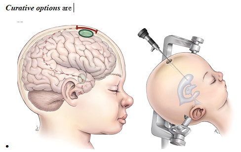 Service Detail Image 2