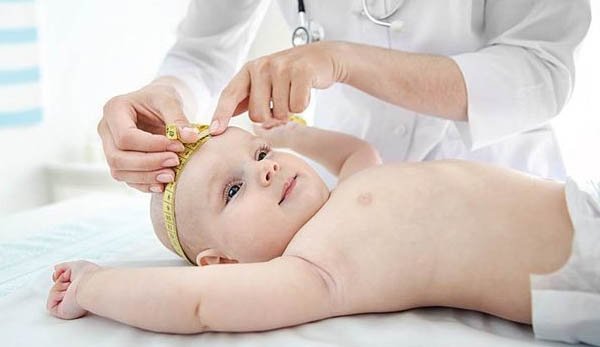 Service Detail Image