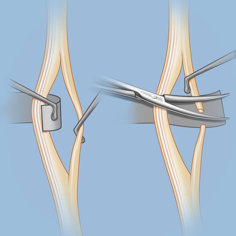 Service Detail Image